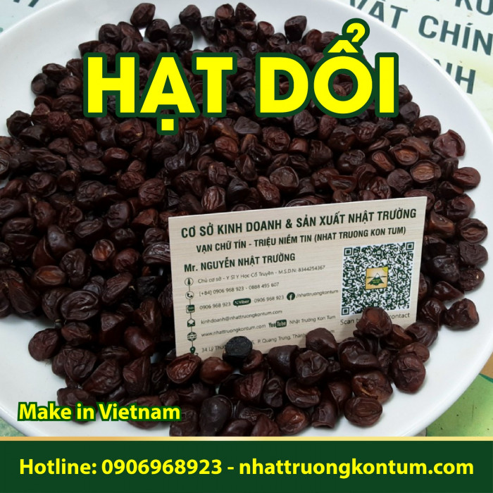 Hạt Dổi Hạt Giổi Rừng Kon Tum - Dổi Nếp - Michelia tonkinensis Kon Tum Vietnam- Hũ 100g