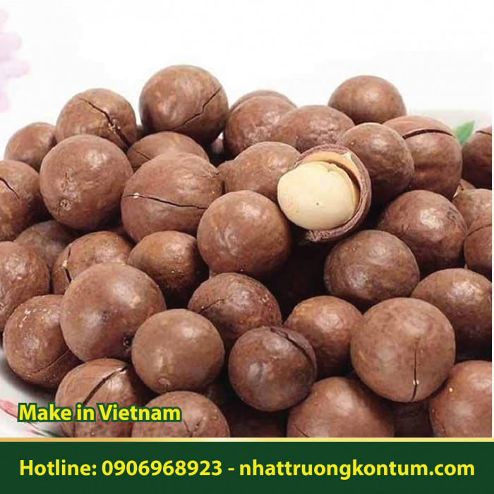Mắc Ca Kon Tum Tây Nguyên - Macadamia Vietnam - Size trung - Túi 1kg