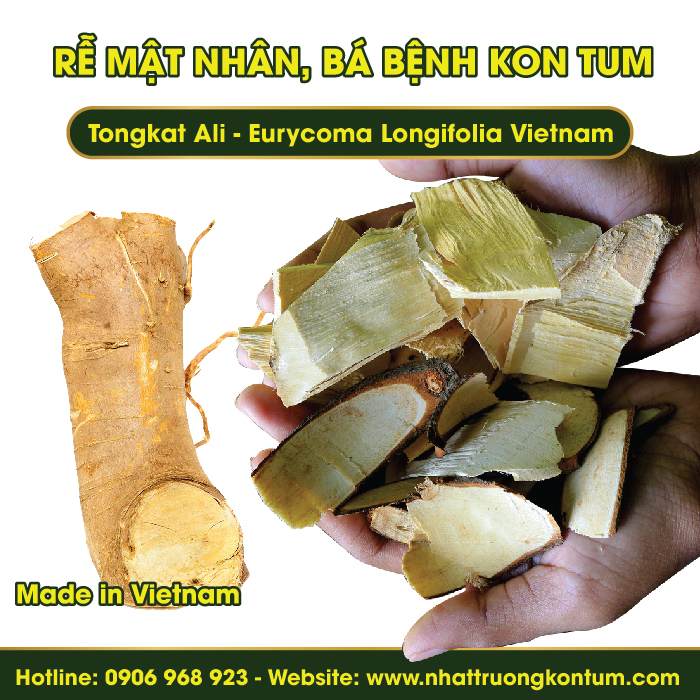 Mật nhân, Bá bệnh Kon Tum - Tongkat Ali - Eurycoma Longifolia Vietnam - Túi 1kg