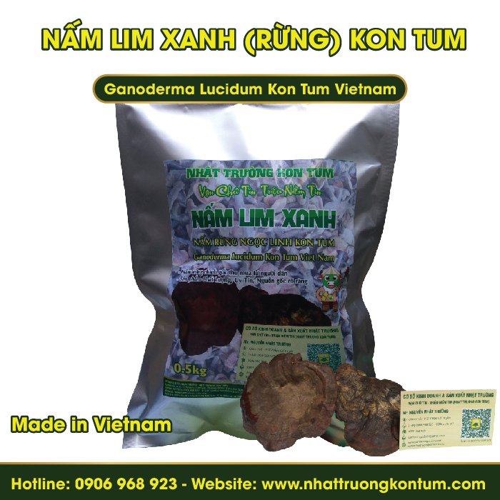 Nấm Lim Xanh Rừng Tự Nhiên Kon Tum - Ganoderma Lucidum Kon Tum Vietnam - Túi 0.5kg
