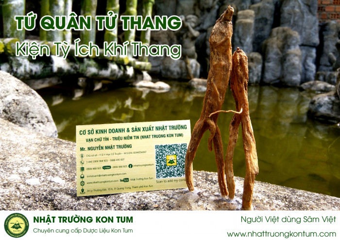 Người Việt dùng Sâm Việt - Tứ Quân Tử Thang - Kiện Tỳ Ích Khí Thang