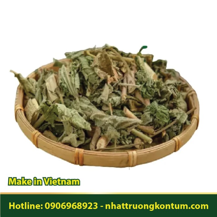 Cây An Xoa Nhật Trường Kon Tum - Helicteres hirsuta Lour Vietnam - Túi 1kg