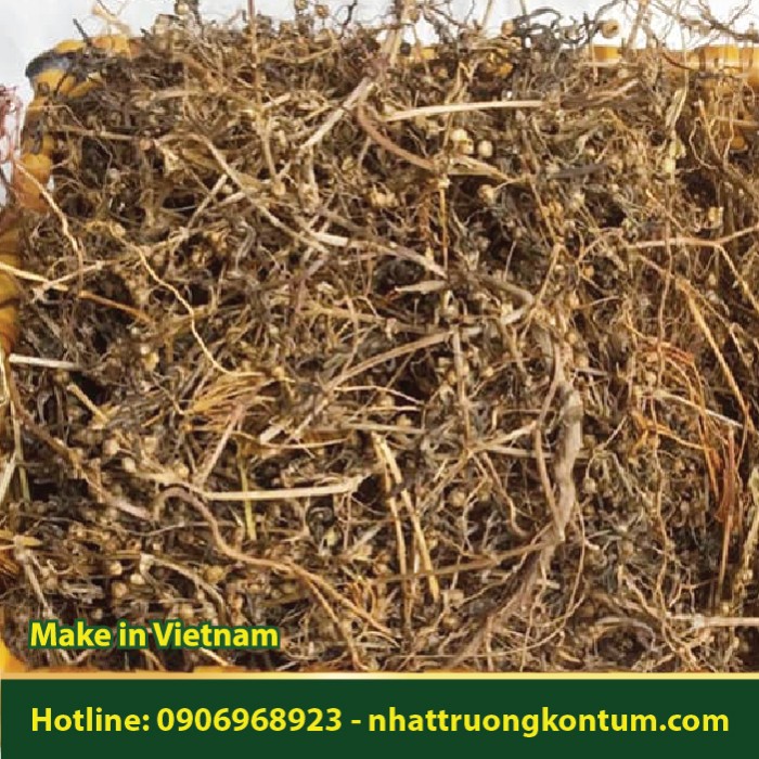 Bạch Hoa Xà Thiệt Thảo Khô - Hedyotis diffusa - Oldenlandia diffusa Dried Vietnam - Túi 1kg