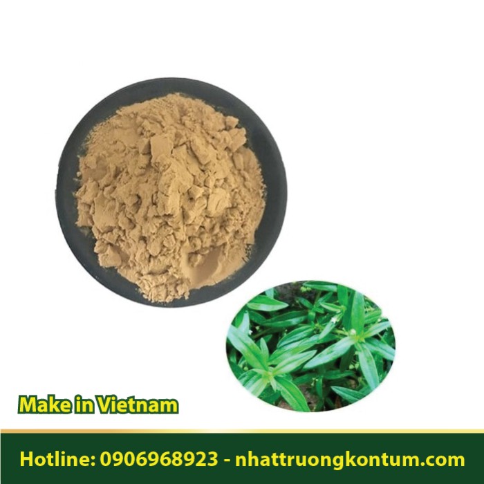Bột Bạch Hoa Xà Thiệt Thảo - Hedyotis diffusa - Oldenlandia diffusa Powder Vietnam - Túi 1kg