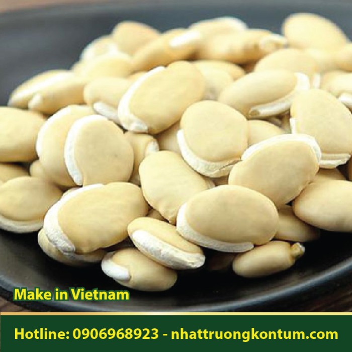 Bạch Biển Đậu - Lablab purpureus - Túi 0.5kg