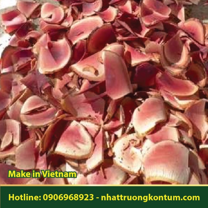 Bách Quản Đỏ - Túi 1kg