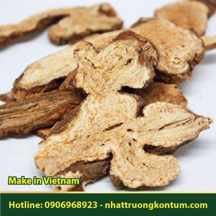 Bạch Truật Khô - Atractylodes macrocephala Dried - Túi 1kg