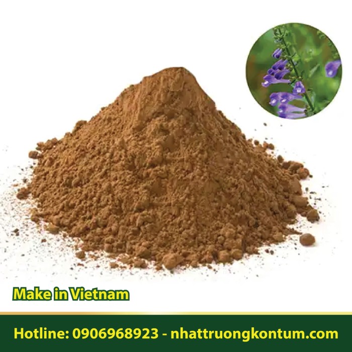 Bột Bán Chi Liên Tây Nguyên Việt Nam Nhật Trường - Scutellaria barbata Wall Vietnam Powder - Túi 0.5kg