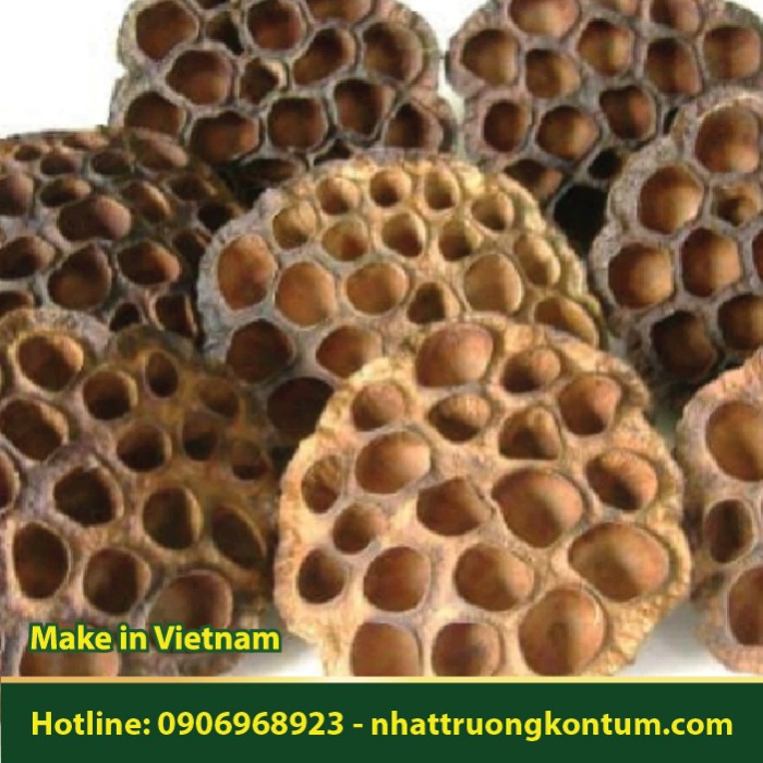 Bát Sen Khô - Lotus receptacle - Nelumbo nucifera Gaertn - Túi 1kg