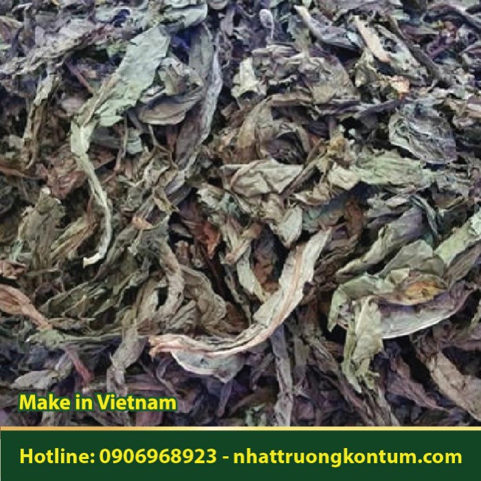 Bồ Công Anh Khô Nhật Trường Kon Tum - Taraxacum Dried Vietnam - Túi 1kg