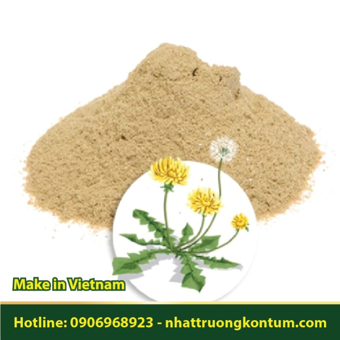 Bột Bồ Công Anh Nhật Trường Kon Tum - Taraxacum Powder Vietnam - Túi 1kg
