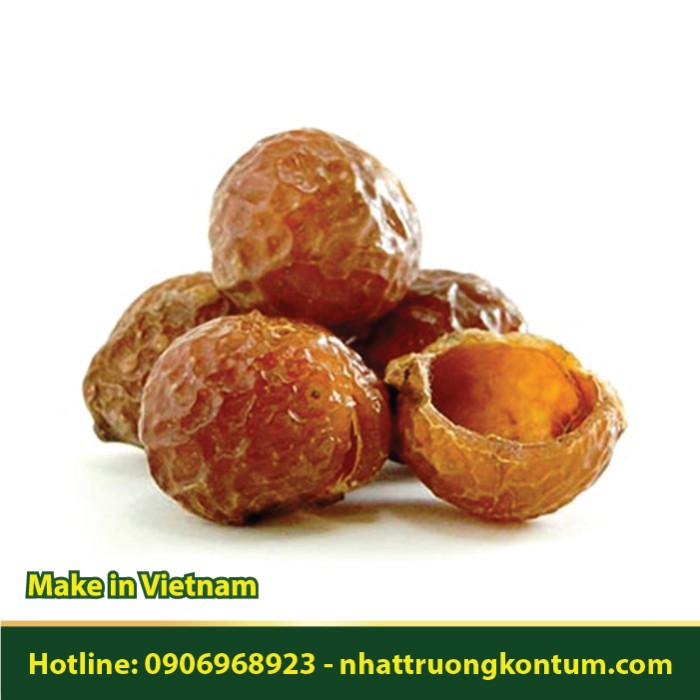 Trái Bồ Hòn Tách Hạt - Sapindus saponaria Dried Vietnam - Túi 1kg