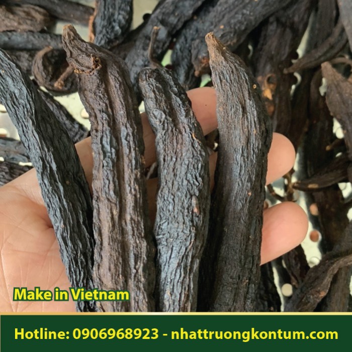 Quả Bòi Vịt Khô - Galeola nudifolia Lour - Túi 1kg