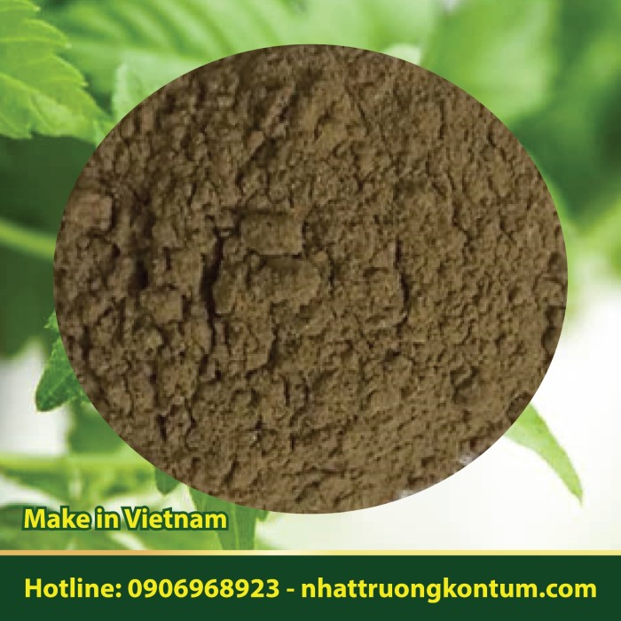 Bột Giảo Cổ Lam Việt Nam Nhật Trường - Gynostemma pentaphyllum Vietnam Powder - Túi 0.5kg