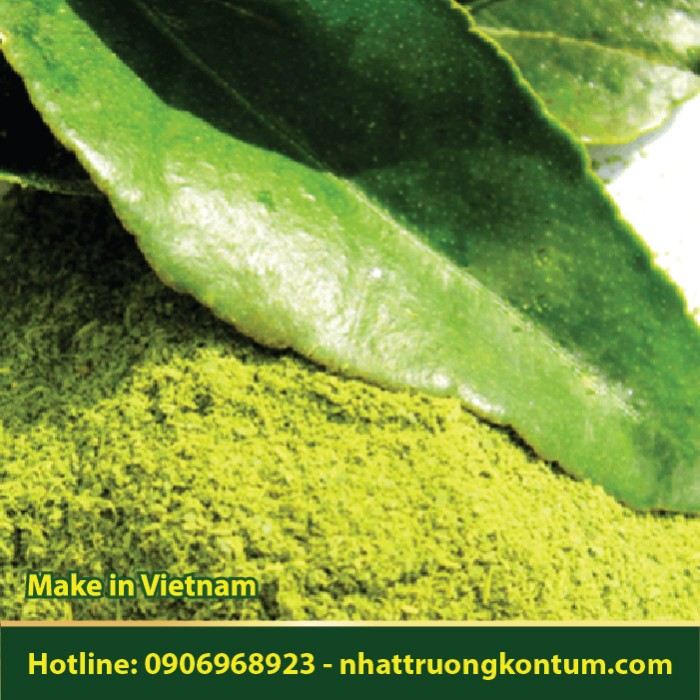 Bột Lá Chanh - Citrus aurantifolia Leaf Powder Vietnam - Túi 1kg