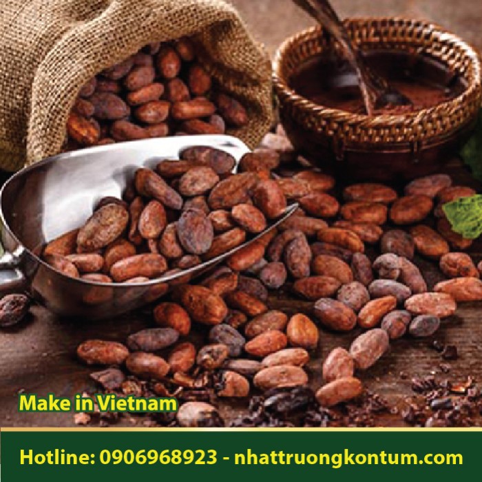 Hạt Cacao Đak Lak Tây Nguyên - Cocoa Lên Men Sấy Khô - Nguyên Liệu Làm Bánh, Sô Cô La, Trang Trí Bánh Chất Lượng Cao - Túi 1kg
