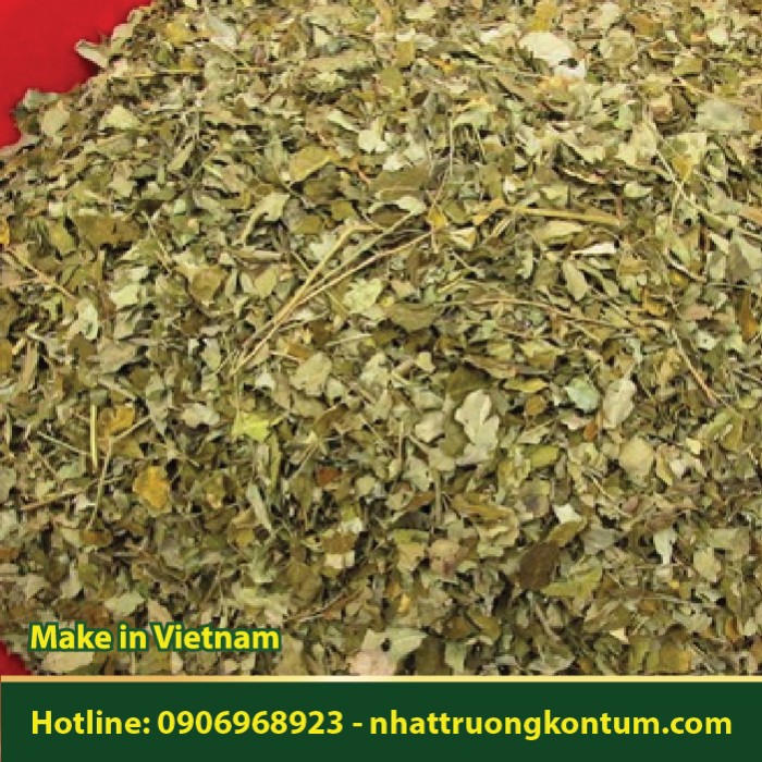 Lá Chùm Ngây Khô - Moringa oleifera Leaf Dried - Túi 1kg