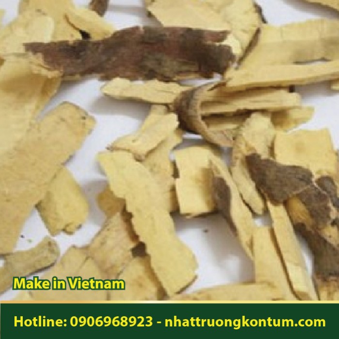 Thân Chùm Ngây Khô - Moringa oleifera Body Dried - Túi 1kg