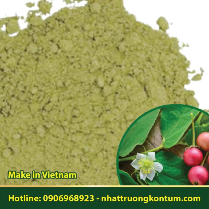 Bột Lá Cây Trứng Cá - Muntingia calabura Leaves Powder - Túi 1kg