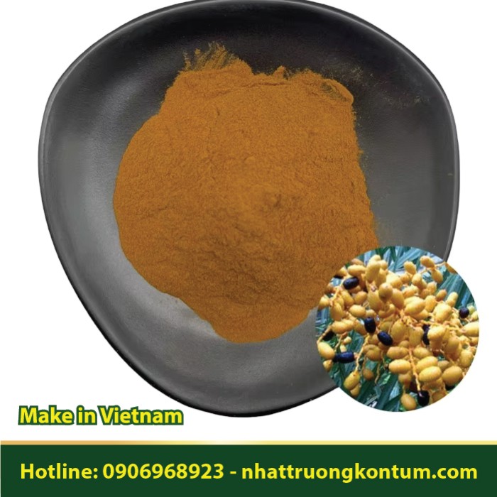 Bột Chà Là Khô - Phoenix dactylifera - Date palm Powder - Túi 200g