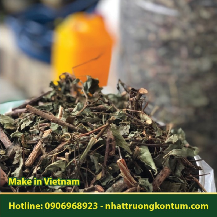 Chè Dây Măng Đen Nhật Trường Kon Tum - Ampelopsis cantoniensis Vietnam - Túi 1kg