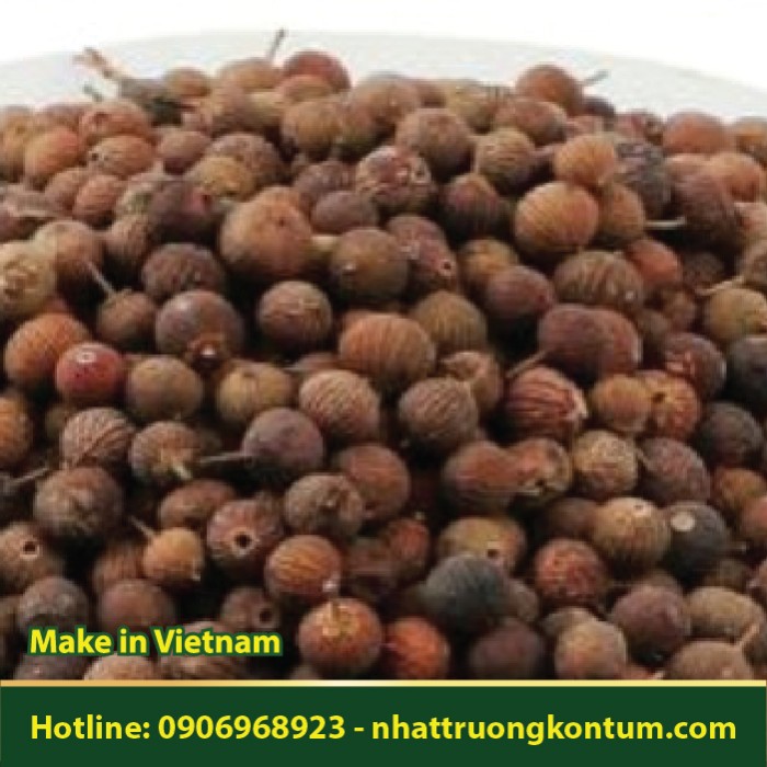 Quả Chua Ngút - Embelia laeta - Túi 1kg