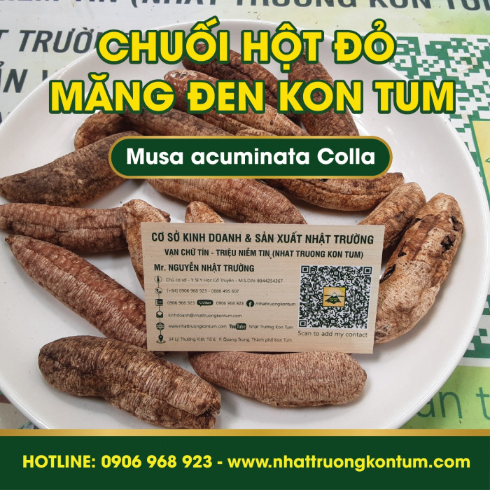Chuối Hột Đỏ Măng Đen Kon Tum - Musa acuminata Colla Mang Den Kon Tum Vietnam - Túi 1kg