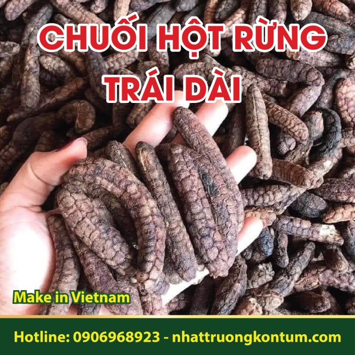 Chuối Hột Rừng Tây Nguyên (Trái Dài) - Musa acuminata Colla Kon Tum Vietnam - Túi 1kg
