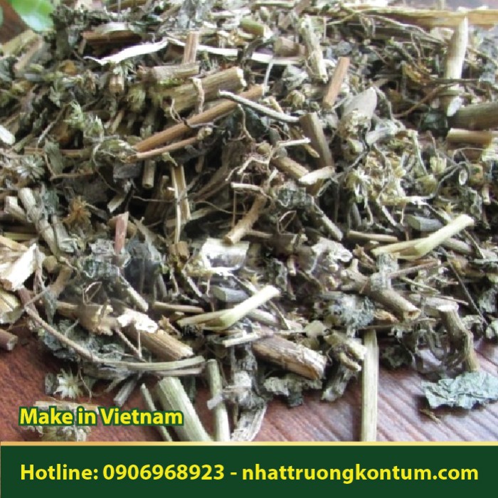Cỏ Hôi - Cây Cứt Lợn - Thắng hồng kế - Ageratum conyzoides - Túi 1kg