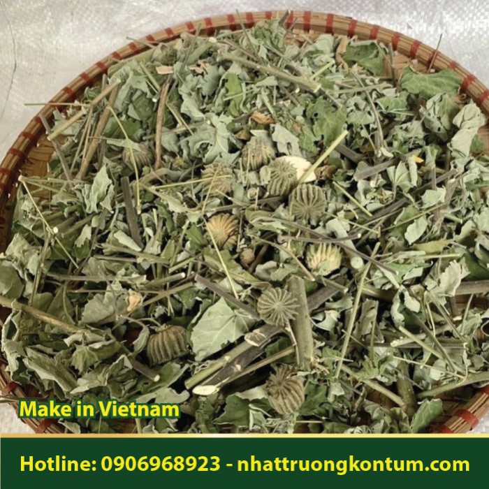 Cây Cối Xay Khô - Ma mãnh thảo -  Abutilon indicum Dried Vietnam - Túi 1kg
