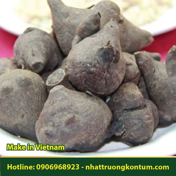 Củ Ấu Tẩu - Aconitum fortunei.- Túi 1kg