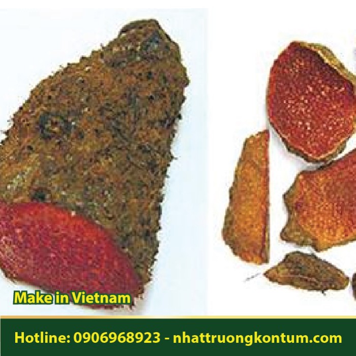 Củ Nâu Đỏ Khô - Dioscorea cirrhosa - Túi 1kg