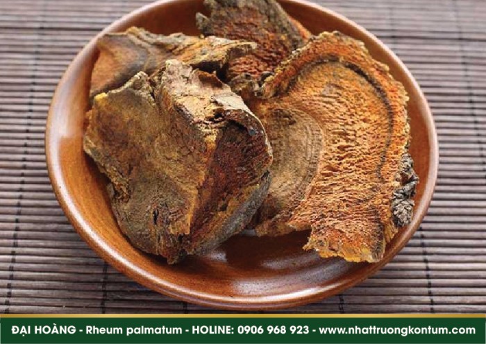 Đại Hoàng - Rheum palmatum - Túi 1kg