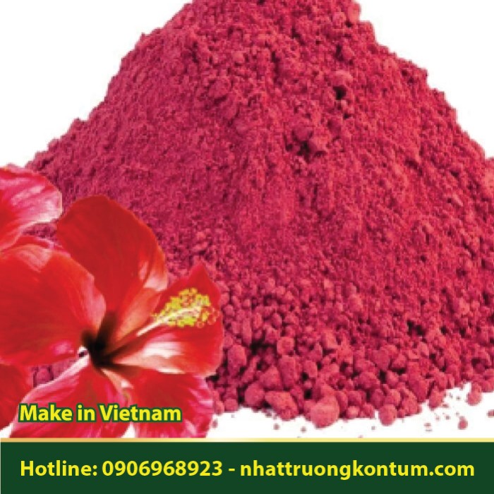 Bột Hoa Dâm Bụt - Hibiscus rosa-sinensis Powder - Túi 0.5kg