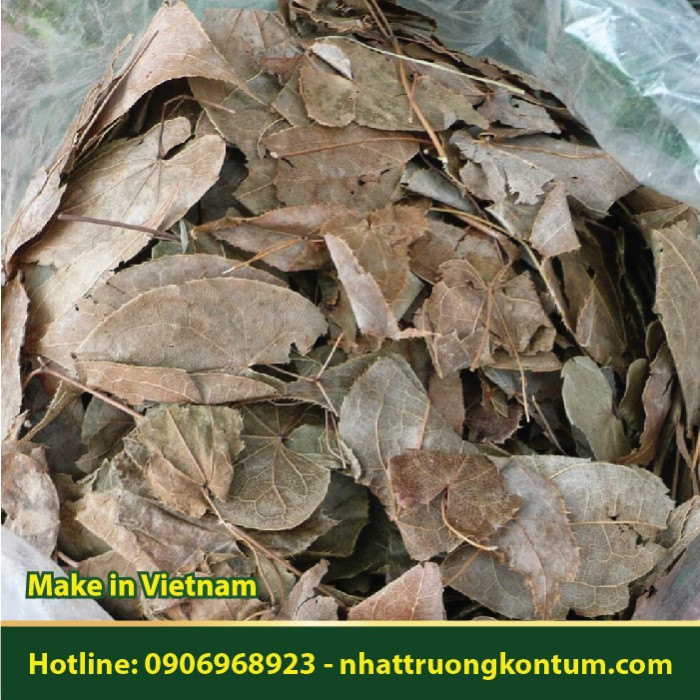 Lá Dâm Dương Hoắc - Epimedium - Túi 1kg