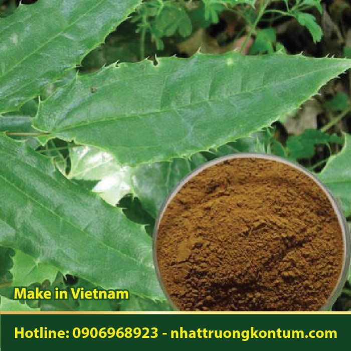 Bột Lá Dâm Dương Hoắc - Epimedium Powder - Túi 1kg