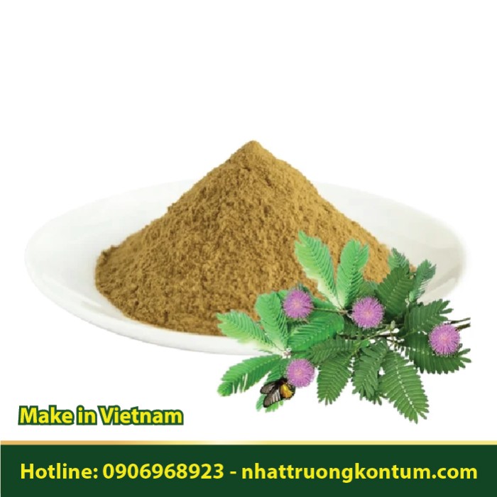 Bột Dây Xấu Hổ - Dây Mắc Cỡ - Dây Trinh Nữ - Mimosa pudica Powder - Túi 1kg