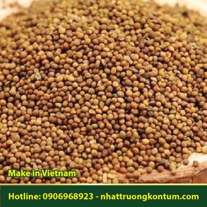 Thỏ Ty Tử - Hạt Dây Tơ Hồng - Cuscuta chinensis Seed - Túi 1kg
