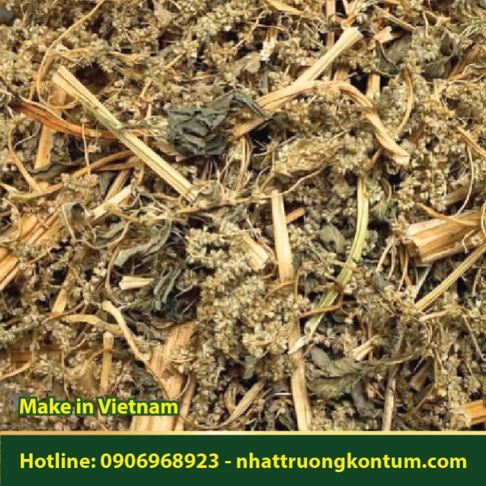 Dền Gai Khô - Dền Mọc Hoang - Amaranthus spinosus - Túi 1kg