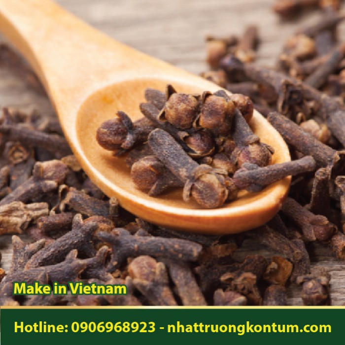 Đinh Hương - Syzygium aromaticum Vietnam - Túi 1kg