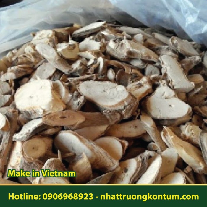 Rễ Đinh Lăng Tây Nguyên khô (100% Rễ) - Polyscias fruticosa roots dried - Túi 1kg