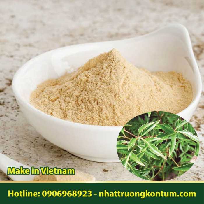 Bột rễ Đinh Lăng Tây Nguyên khô (100% Rễ) - Polyscias fruticosa powder - Túi 1kg