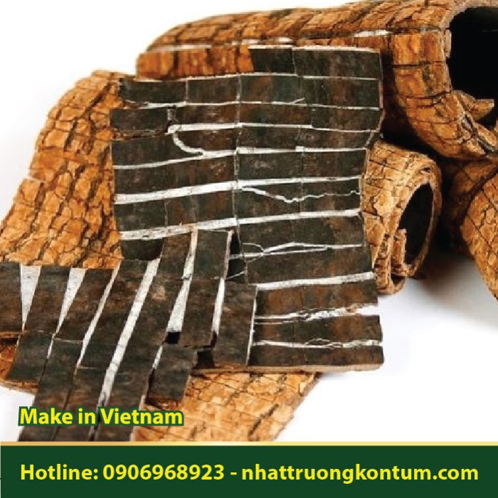 Đỗ Trọng Khô - Eucommia ulmoides Dried - Túi 1kg