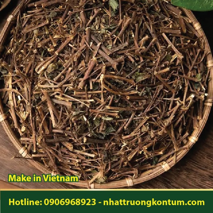 Dòi Thân Tím Khô - Bọ Mắm Khô - Sapindus saponaria Dried Vietnam - Túi 1kg