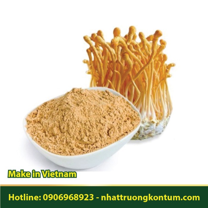 Bột Đông Trùng Hạ Thảo - Cordyceps militaris Powder Vietnam - Túi 1kg
