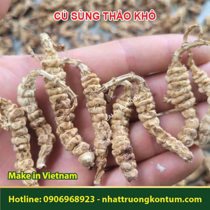 Củ Sùng Thảo - Đông Trùng Hạ Thảo Đá - Đông Trùng Đá - Stachys affinis Bunge - Túi 1kg