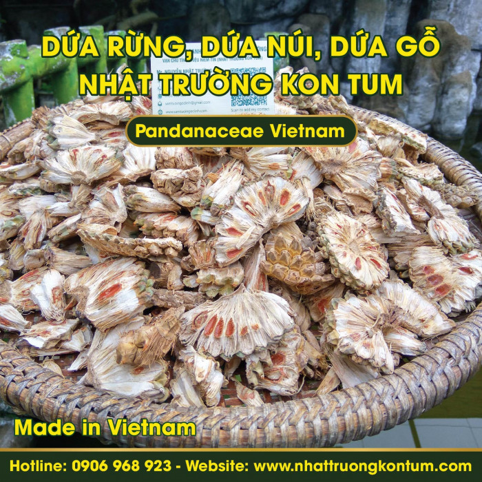 Dứa rừng, Dứa núi, Dứa gỗ Kon Tum Tây Nguyên Việt Nam - Pandanaceae Kon Tum Vietnam - Túi 1 kg