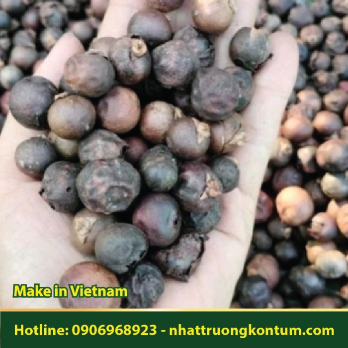 Quả Đủng Đỉnh Khô - Caryota mitis Dried - Túi 1kg
