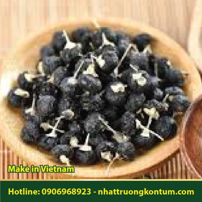 Hắc Kỷ Tử - Lycium ruthenicum - Túi 1kg