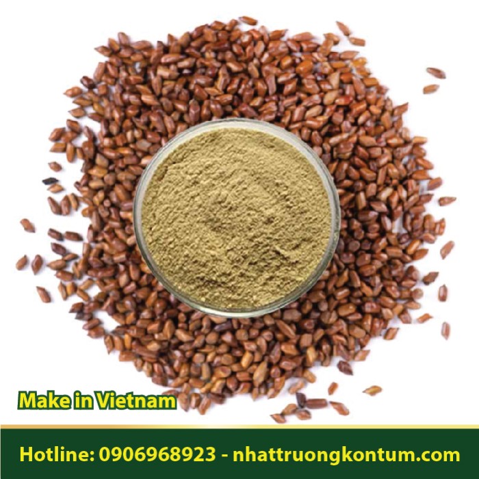 Bột Hạt muồng - Thảo Quyết Minh - Cassia Tora Powder Vietnam - Túi 1kg
